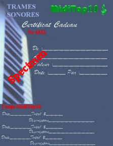 MidiTop10's Gift Certificate... Original Gift For Musicians and Singers.